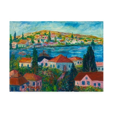 Manor Shadian 'Riverside Town' Canvas Art,24x32